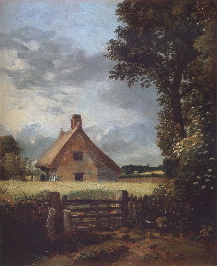 A cottage in a cornfield